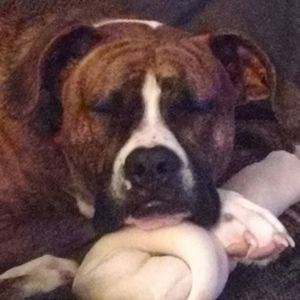 Meet your Posher, Beth